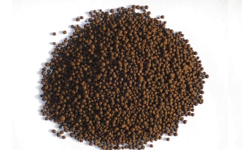 新型成人版香蕉视频推广应用前景