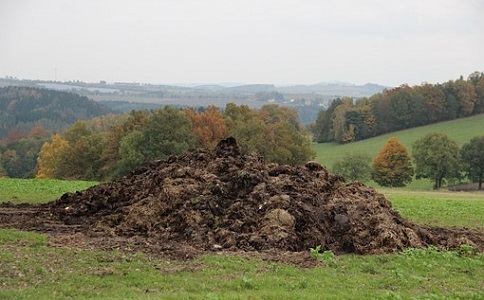 牛粪成人版香蕉视频
