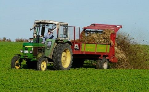 使用香蕉视频黄色片