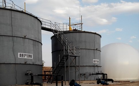 香蕉视频黄色片发酵