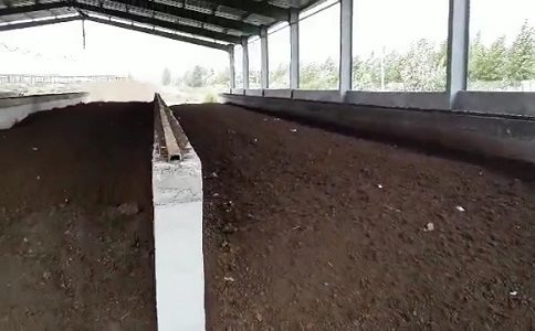 发酵香蕉视频黄色片