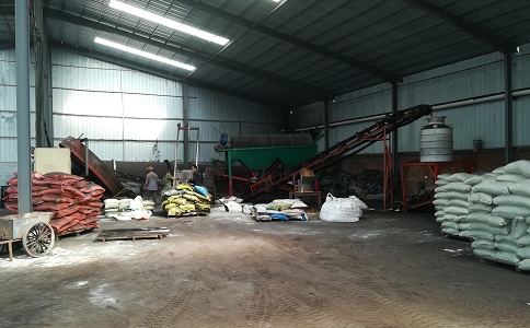 发酵香蕉视频黄色片