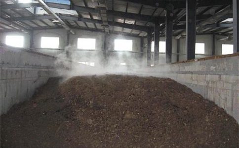 香蕉视频黄色片