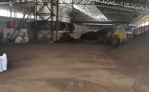 猪粪怎么处理成香蕉视频黄色片