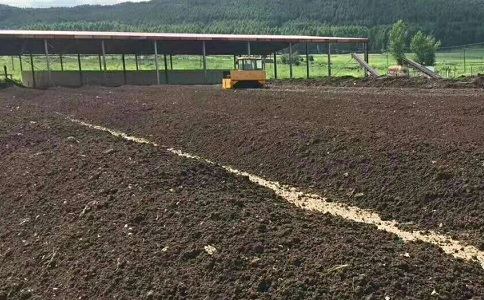 猪粪香蕉视频黄色片生产线